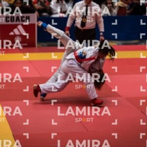 PANAMERICANO DE JIU-JITSU - JIUJITSU-112.jpg