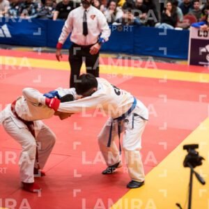 PANAMERICANO DE JIU-JITSU - JIUJITSU-1128.jpg