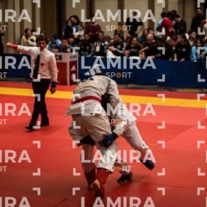 PANAMERICANO DE JIU-JITSU - JIUJITSU-13.jpg