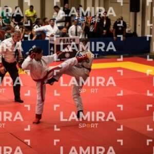 PANAMERICANO DE JIU-JITSU - JIUJITSU-142.jpg
