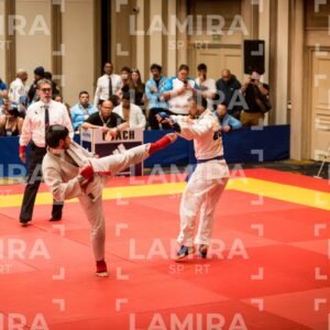 PANAMERICANO DE JIU-JITSU - JIUJITSU-145-1.jpg