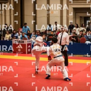 PANAMERICANO DE JIU-JITSU - JIUJITSU-149.jpg
