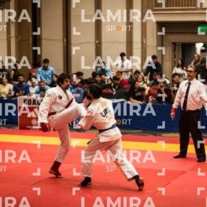 PANAMERICANO DE JIU-JITSU - JIUJITSU-151.jpg