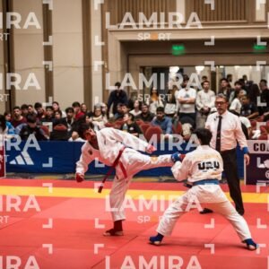 PANAMERICANO DE JIU-JITSU - JIUJITSU-155.jpg
