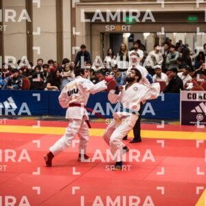 PANAMERICANO DE JIU-JITSU - JIUJITSU-156.jpg