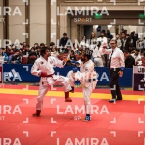 PANAMERICANO DE JIU-JITSU - JIUJITSU-157.jpg