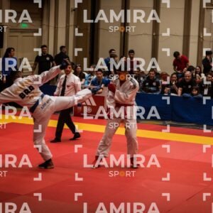 PANAMERICANO DE JIU-JITSU - JIUJITSU-16.jpg