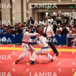 PANAMERICANO DE JIU-JITSU - JIUJITSU-161.jpg