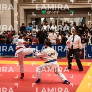PANAMERICANO DE JIU-JITSU - JIUJITSU-164.jpg