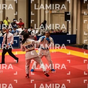 PANAMERICANO DE JIU-JITSU - JIUJITSU-179.jpg