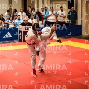 PANAMERICANO DE JIU-JITSU - JIUJITSU-180-1.jpg