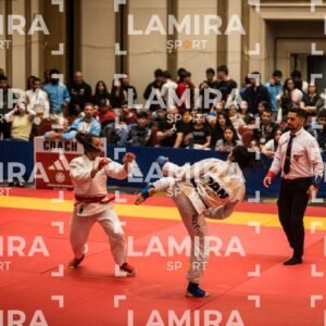 PANAMERICANO DE JIU-JITSU - JIUJITSU-188.jpg