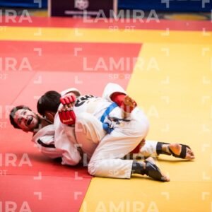 PANAMERICANO DE JIU-JITSU - JIUJITSU-195-1.jpg
