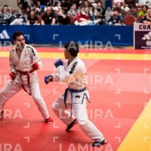 PANAMERICANO DE JIU-JITSU - JIUJITSU-197-1.jpg