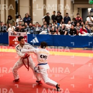 PANAMERICANO DE JIU-JITSU - JIUJITSU-200-1.jpg