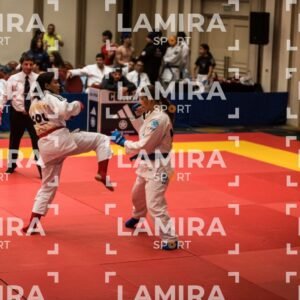 PANAMERICANO DE JIU-JITSU - JIUJITSU-204.jpg