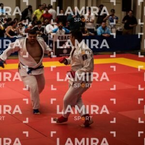 PANAMERICANO DE JIU-JITSU - JIUJITSU-22.jpg