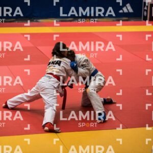 PANAMERICANO DE JIU-JITSU - JIUJITSU-223.jpg