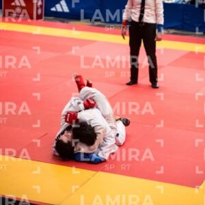 PANAMERICANO DE JIU-JITSU - JIUJITSU-229-1.jpg