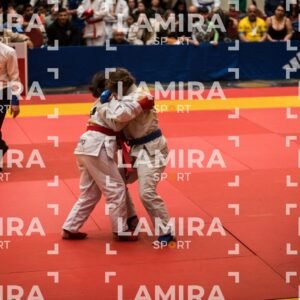 PANAMERICANO DE JIU-JITSU - JIUJITSU-236.jpg