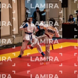 PANAMERICANO DE JIU-JITSU - JIUJITSU-241.jpg