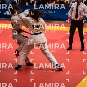 PANAMERICANO DE JIU-JITSU - JIUJITSU-247.jpg