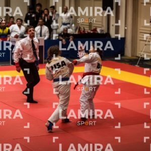 PANAMERICANO DE JIU-JITSU - JIUJITSU-250.jpg