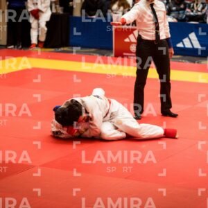 PANAMERICANO DE JIU-JITSU - JIUJITSU-254-1.jpg