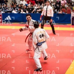 PANAMERICANO DE JIU-JITSU - JIUJITSU-261-1.jpg