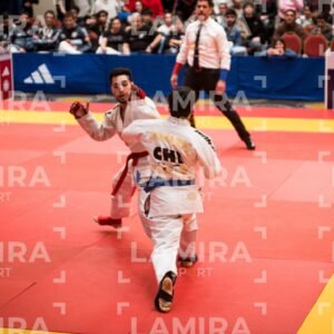 PANAMERICANO DE JIU-JITSU - JIUJITSU-262-1.jpg