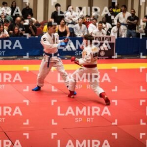 PANAMERICANO DE JIU-JITSU - JIUJITSU-291.jpg