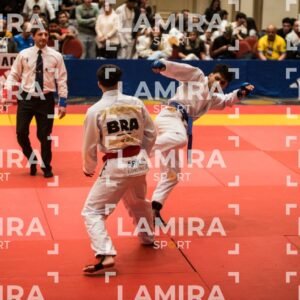 PANAMERICANO DE JIU-JITSU - JIUJITSU-297.jpg