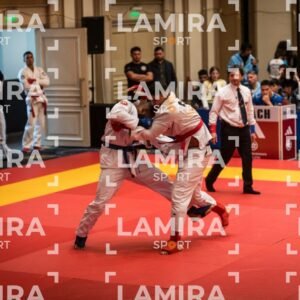 PANAMERICANO DE JIU-JITSU - JIUJITSU-30.jpg