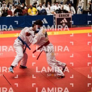 PANAMERICANO DE JIU-JITSU - JIUJITSU-300.jpg