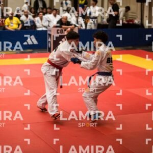 PANAMERICANO DE JIU-JITSU - JIUJITSU-301.jpg