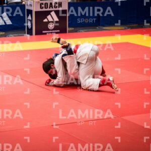 PANAMERICANO DE JIU-JITSU - JIUJITSU-302-1.jpg