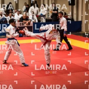 PANAMERICANO DE JIU-JITSU - JIUJITSU-304.jpg