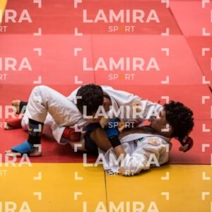 PANAMERICANO DE JIU-JITSU - JIUJITSU-305.jpg