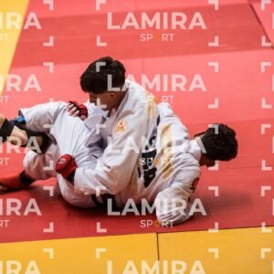 PANAMERICANO DE JIU-JITSU - JIUJITSU-306.jpg