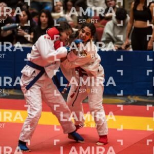 PANAMERICANO DE JIU-JITSU - JIUJITSU-310.jpg