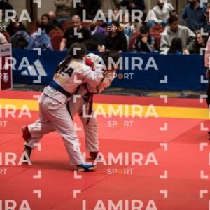 PANAMERICANO DE JIU-JITSU - JIUJITSU-311.jpg