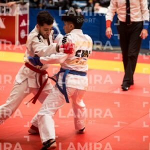PANAMERICANO DE JIU-JITSU - JIUJITSU-317.jpg