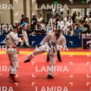 PANAMERICANO DE JIU-JITSU - JIUJITSU-33.jpg