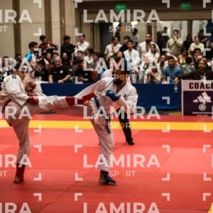 PANAMERICANO DE JIU-JITSU - JIUJITSU-34.jpg