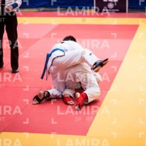 PANAMERICANO DE JIU-JITSU - JIUJITSU-343.jpg
