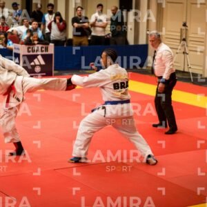 PANAMERICANO DE JIU-JITSU - JIUJITSU-346.jpg