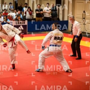 PANAMERICANO DE JIU-JITSU - JIUJITSU-347.jpg
