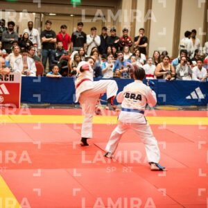 PANAMERICANO DE JIU-JITSU - JIUJITSU-351.jpg