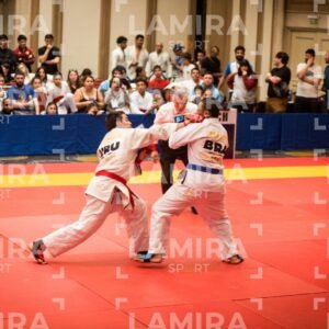 PANAMERICANO DE JIU-JITSU - JIUJITSU-356.jpg