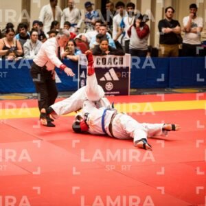 PANAMERICANO DE JIU-JITSU - JIUJITSU-383.jpg